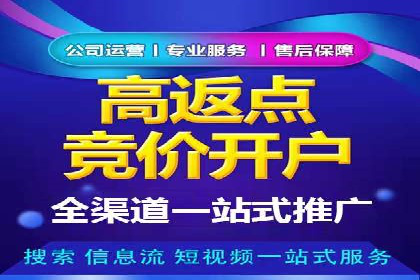 百度竞价代运营公司成功案例分析